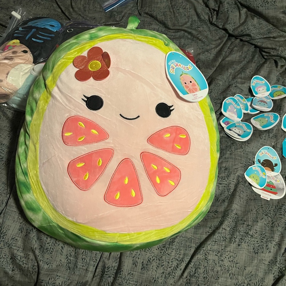 Squishmallows Watermelon Plush - Green and Pink Delight